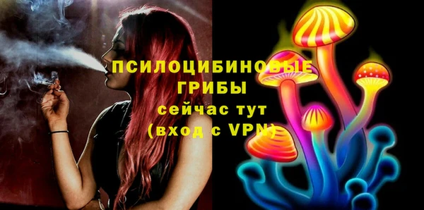 амф Алзамай
